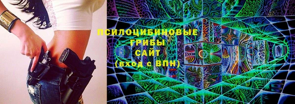 apvp Алзамай