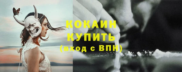прущие грибы Алексеевка