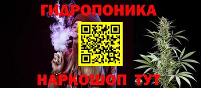 мдпв Можга
