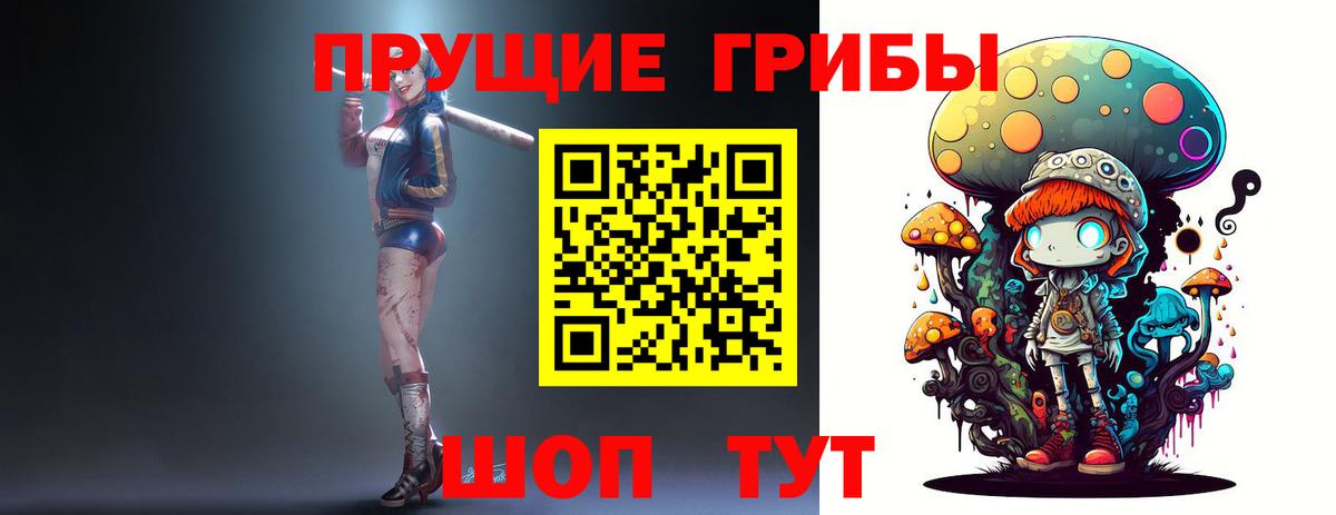 Чапаевск  Псилоцибиновые грибы Psilocybine cubensis  Вход с VPN 